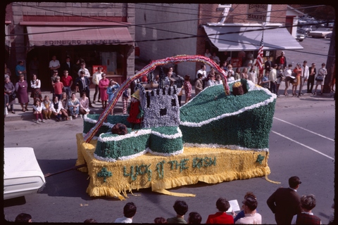 Country of Ireland Float