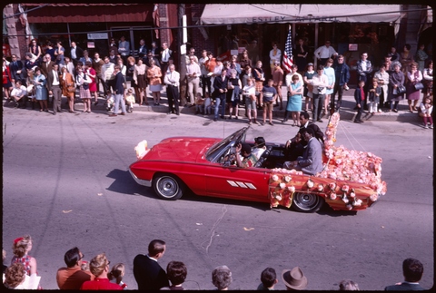 Decorated Vehicle