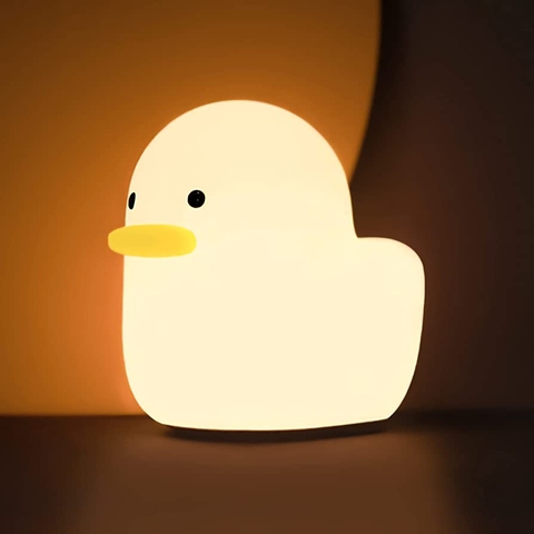 Test derivative duck