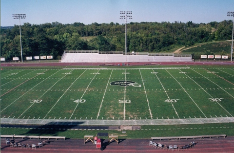 Adamson field