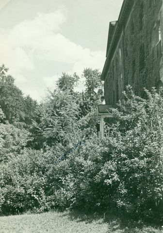 Dixon Hall with bushes