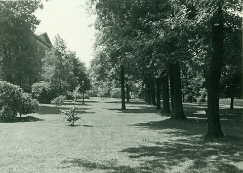 Dixon Hall with trees
