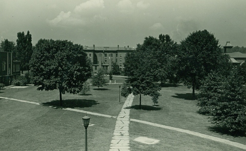 Trees, Quad, and Dixon Hall