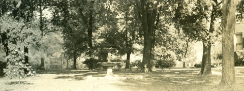 Fountain and Trees