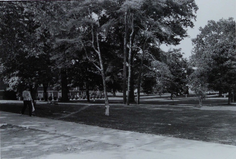 Academic Quad