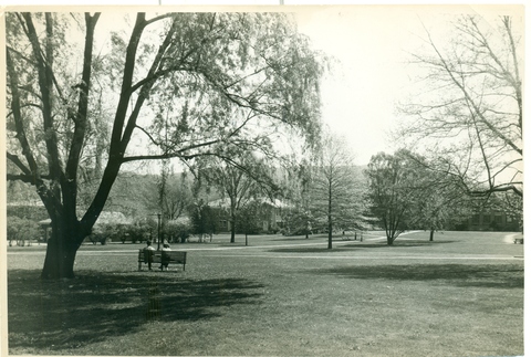 Campus quad (1950s or 1960s?)