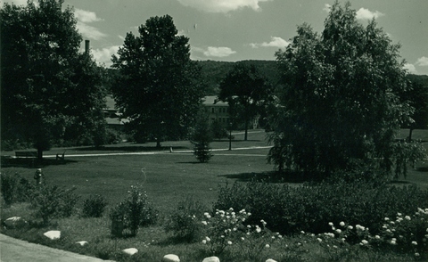 Campus Quad with Powerplant in background