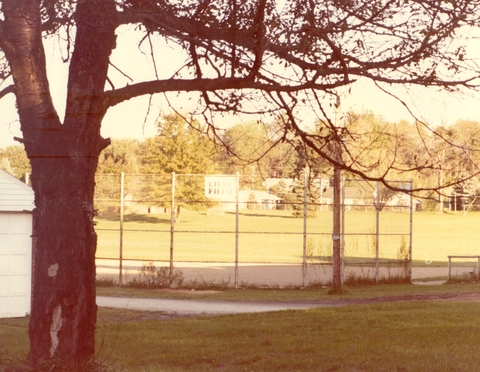 Lilly Field