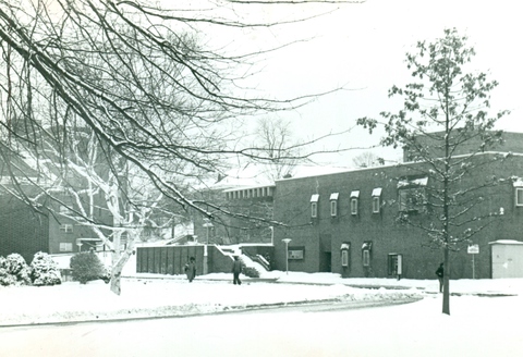 Azorsky in the snow