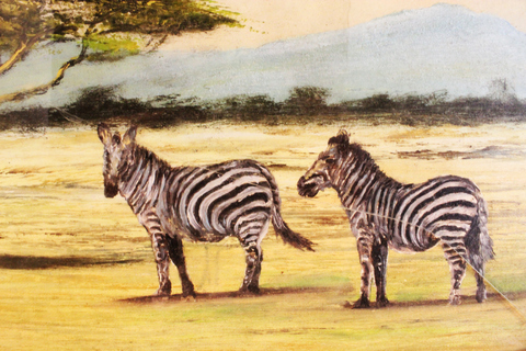 18x14 Oil on canvas matted and framed zebras - close-up