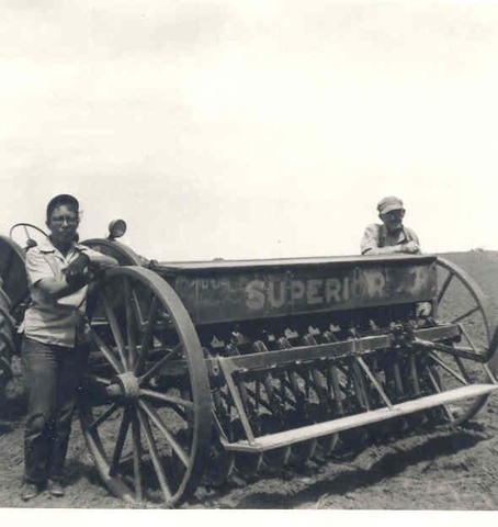 Farming scene 1953