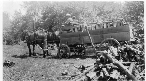 Farming scenes 1934