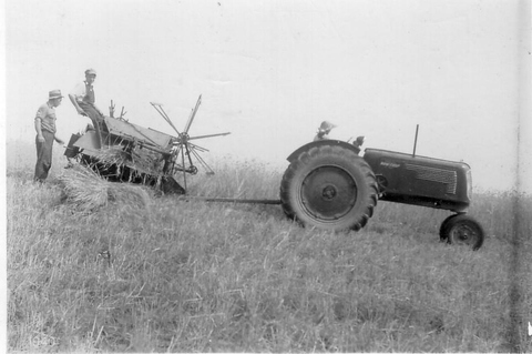 Farming scenes 1940