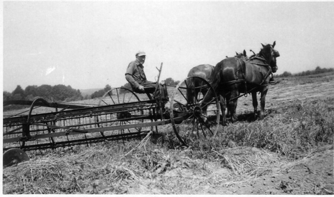 Farming scenes 1950