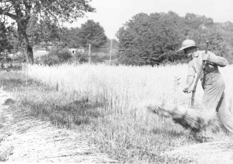 Frank Smith - early Edinboro Farmer