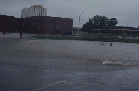 Edinboro Flood Rose Lot