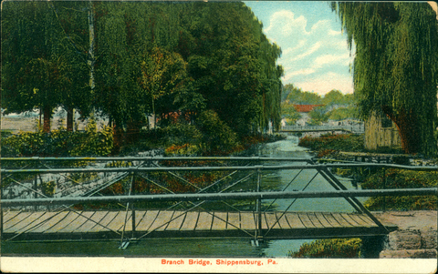 Branch Bridge