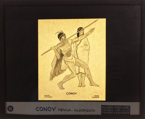Conoy