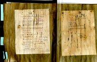 SB290_0123.tif.tn.jpg